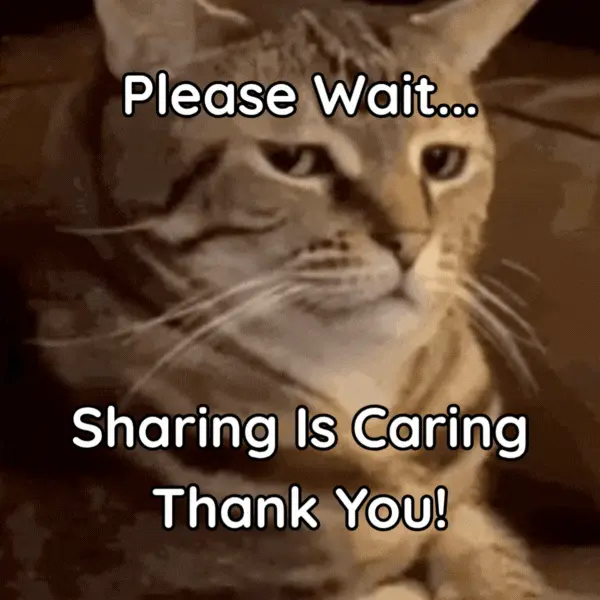 sharing
